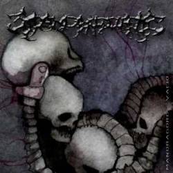 Mandragore (MEX) : Vacio